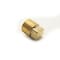 Thrifco Plumbing 1/8 Inch Brass Plug Barstock 5316089 - alternate 4